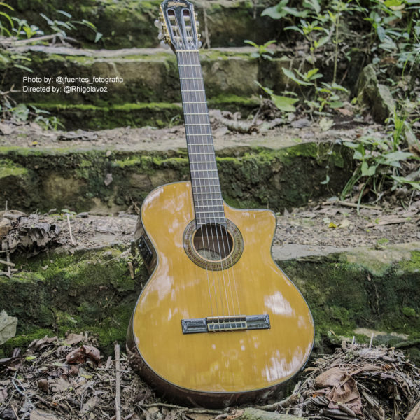 Washburn acoustic guitar on outdoor steps