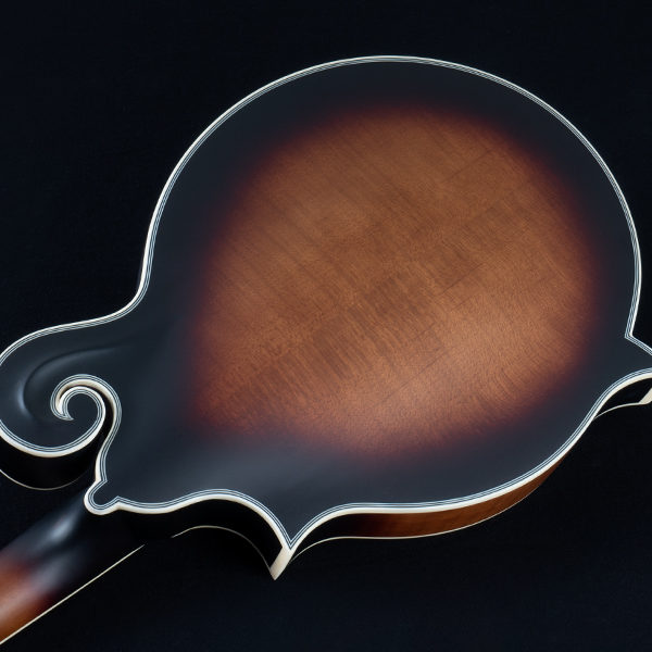 back of body of Washburn mandolin