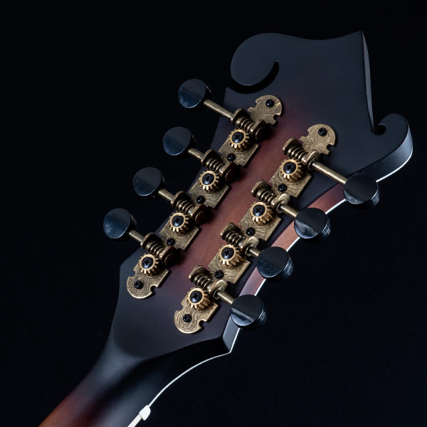 back of Washburn mandolin headstock