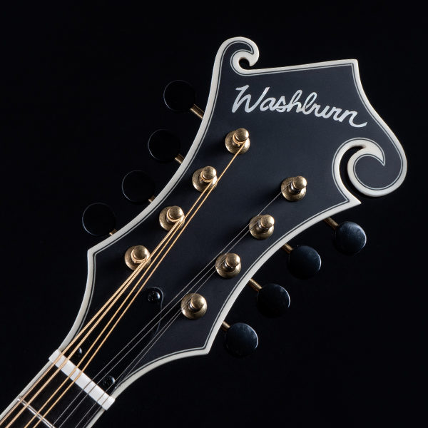 Washburn mandolin headstock