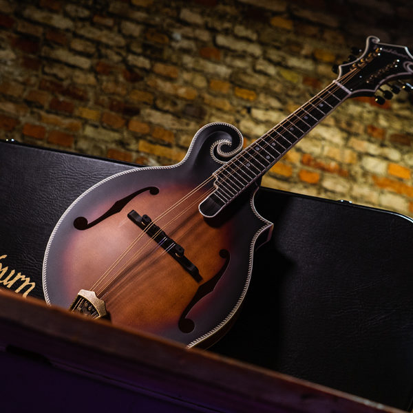 Washburn mandolin leaning on Washburn case