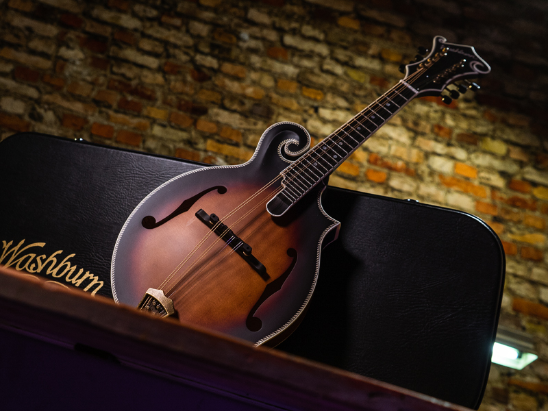 history of washburn mandolins