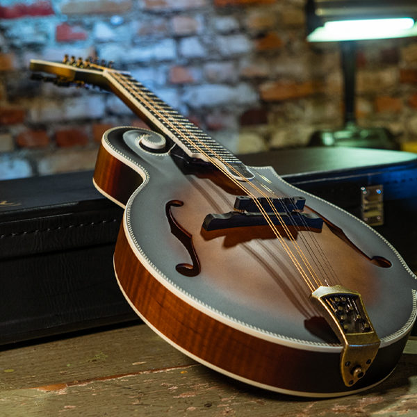 Washburn mandolin leaning on case