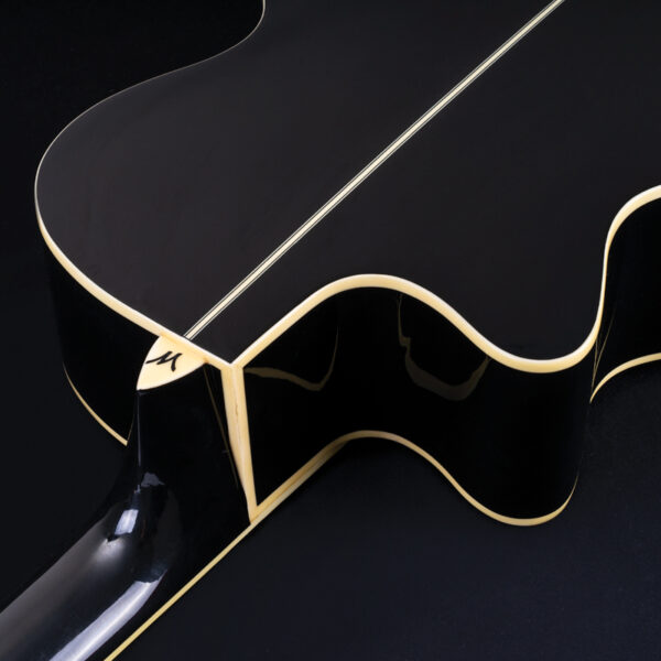 back of acoustic guitar body