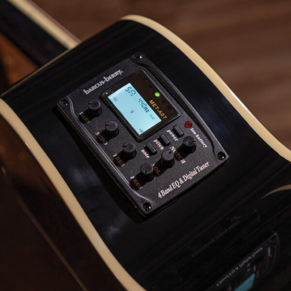 closeup of controls on Washburn guitar