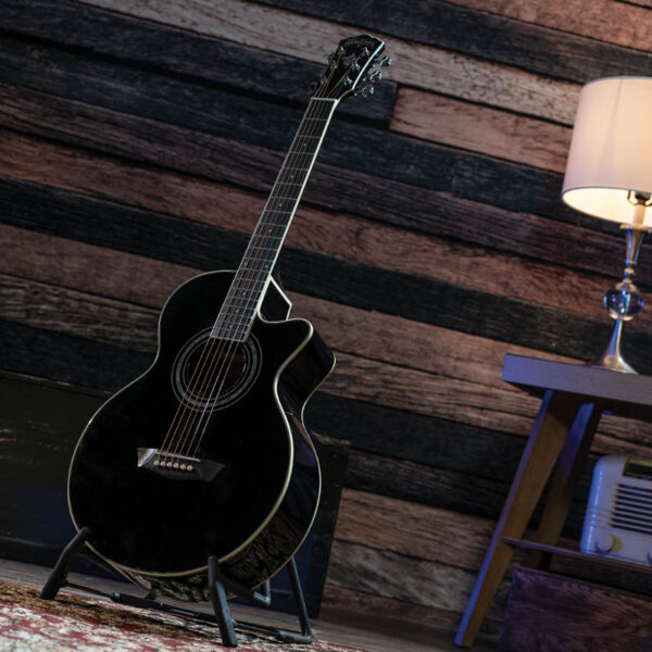 back acoustic guitar on stand