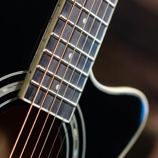 closeup of rosette on Washburn guitar