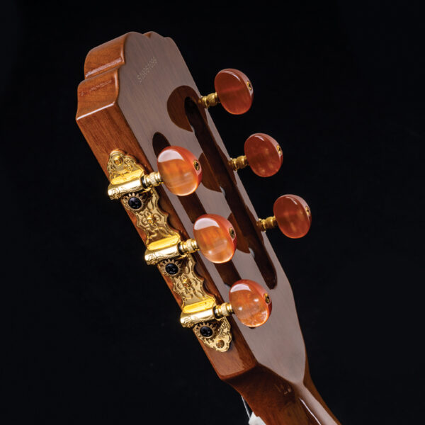 Washburn guitar headstock