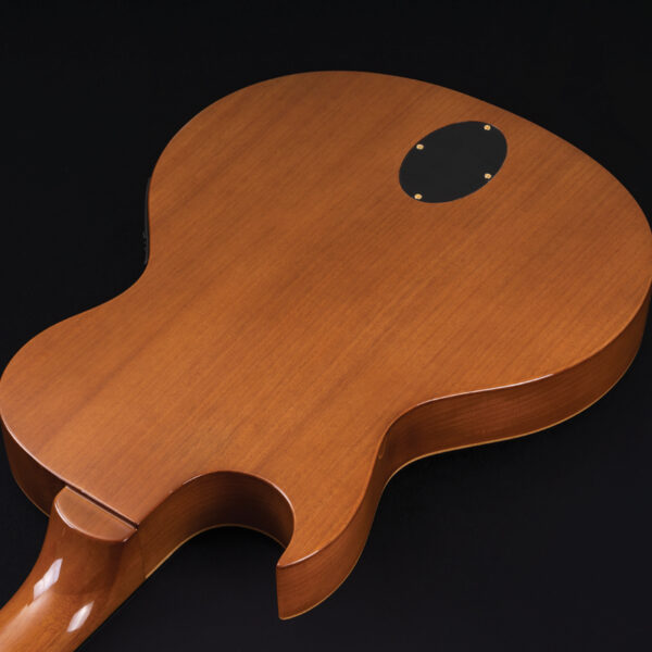 back of body of Washburn guitar