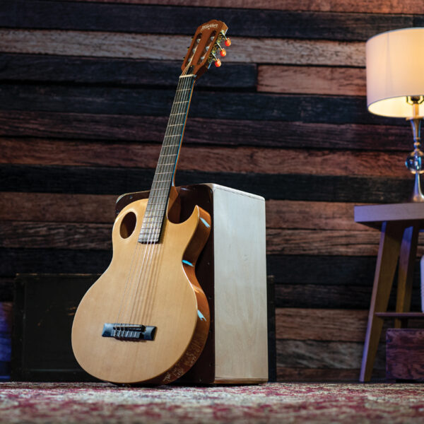 Washburn guitar leaning against cajon