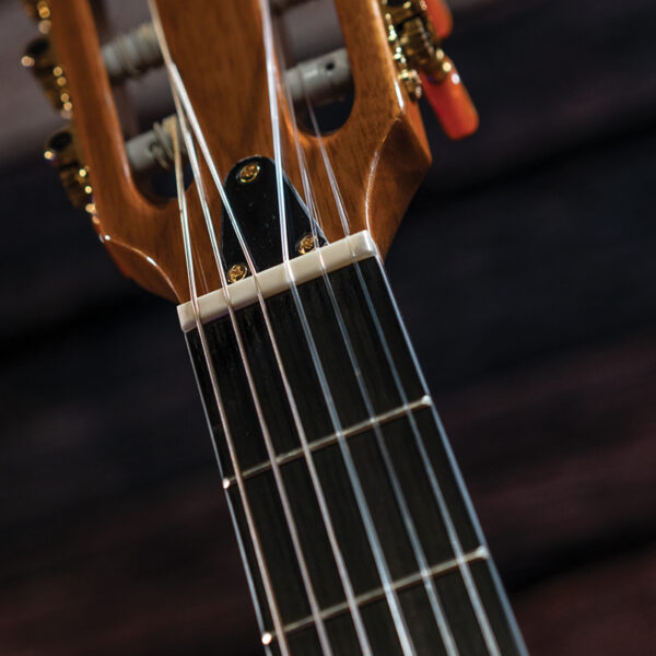 closeup of guitar neck and headstock