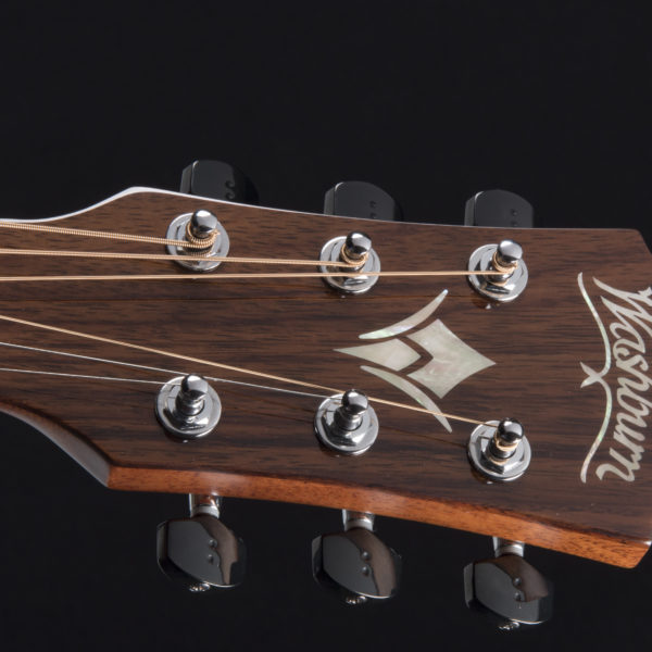 HD100SWCEK heritage d100swce head stock