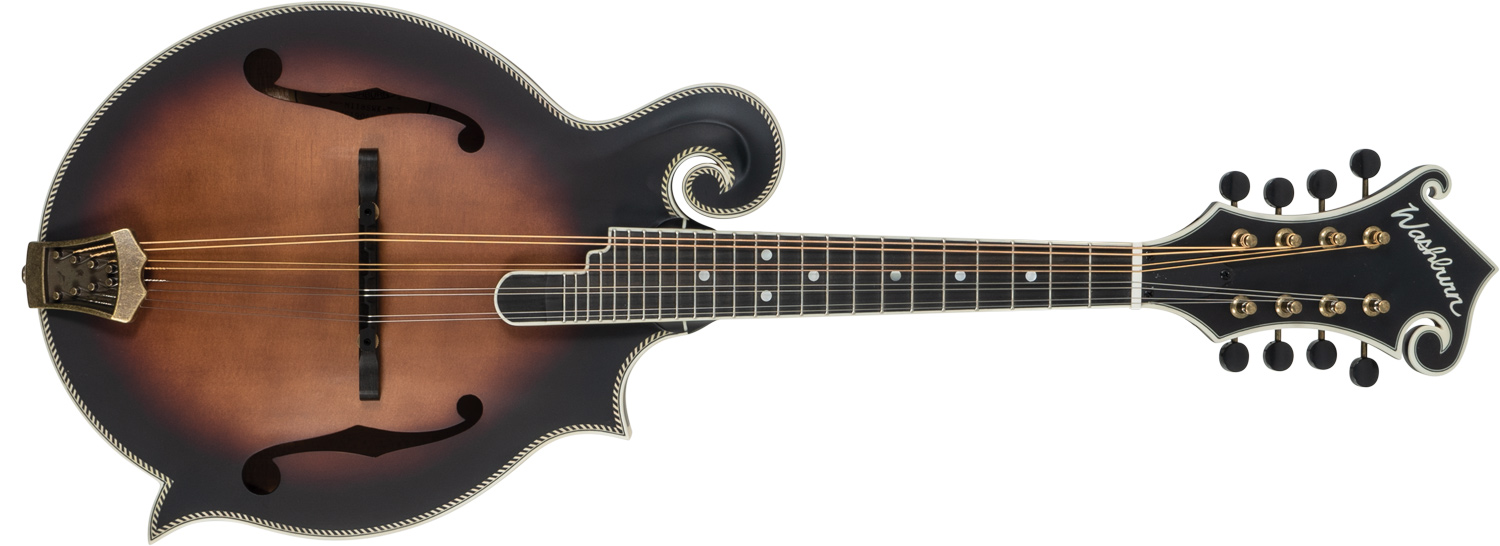 Washburn mandolin
