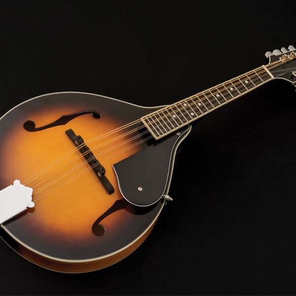 mandolin