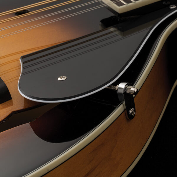 closeup of mandolin body