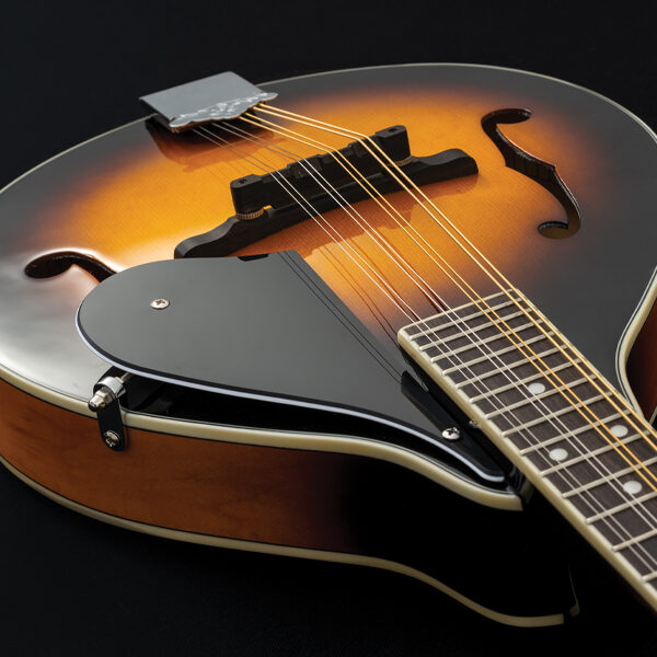 body of mandolin