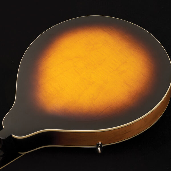 back of mandolin body