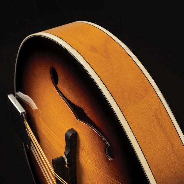 closeup of mandolin body