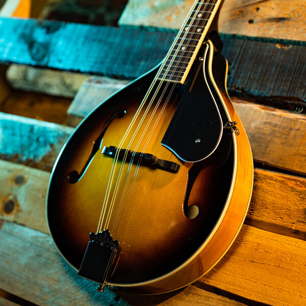 body of mandolin with wood panel background