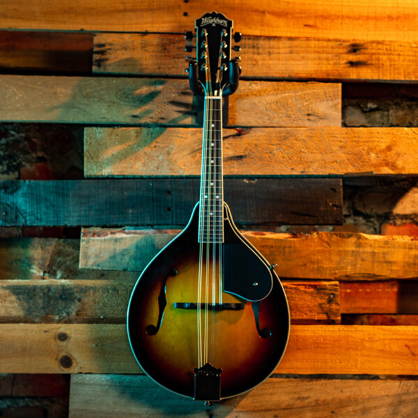 mandolin with wood panel background