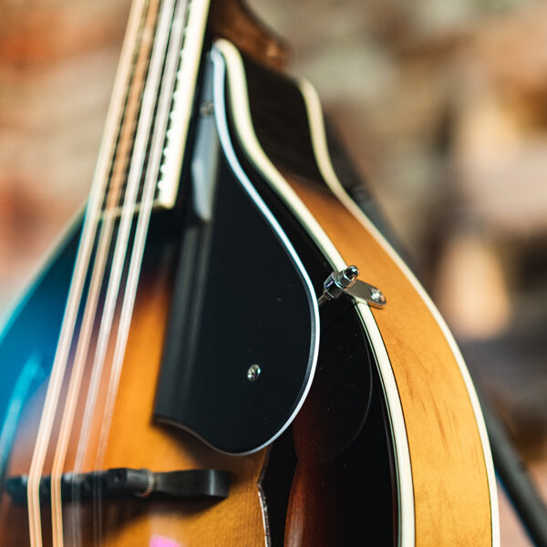 closeup of mandolin