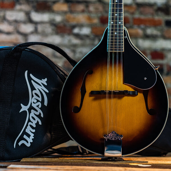 body of mandolin beside gig bag