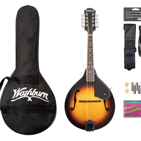 mandolin with gig bag and accessories