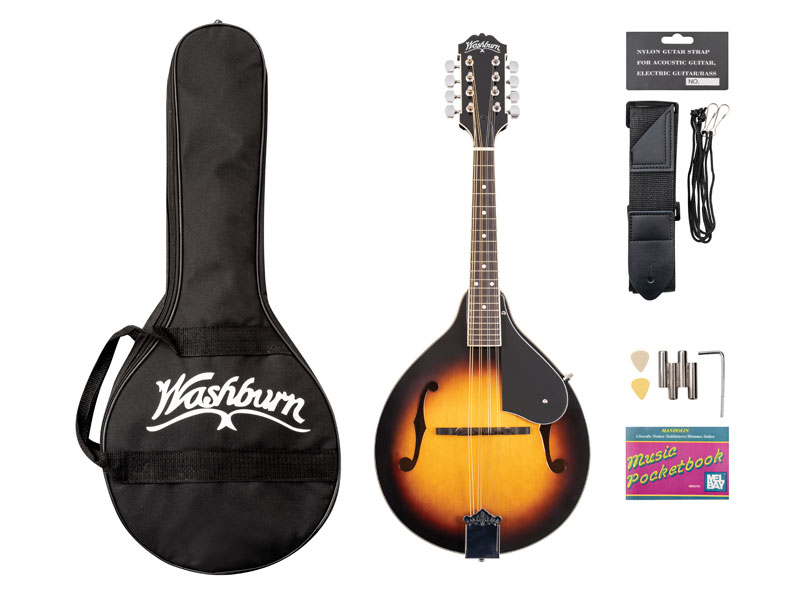 Washburn Guitars