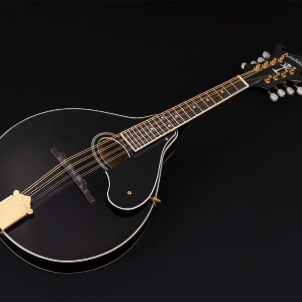 black mandolin