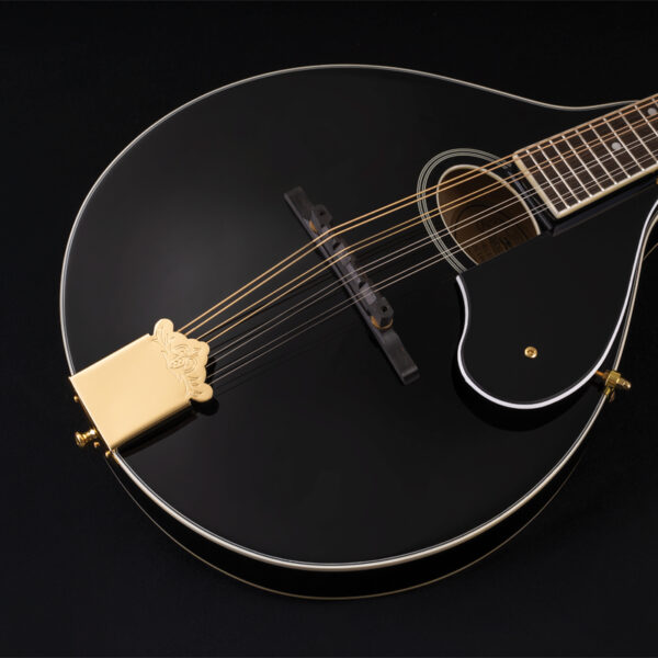 body of black mandolin