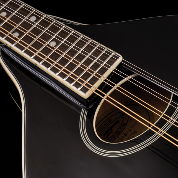closeup of body of black mandolin