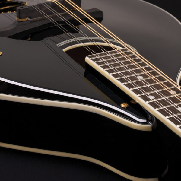 body of black mandolin