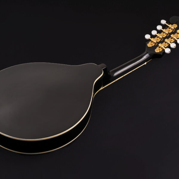 back of black mandolin