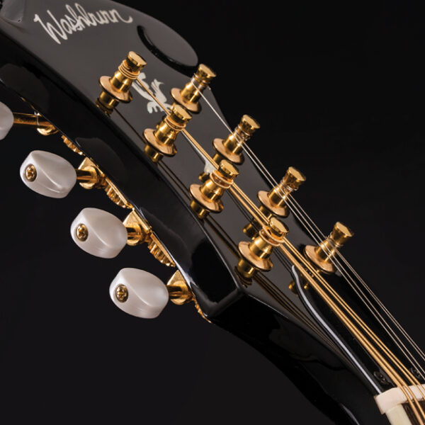 closeup of mandolin headstock