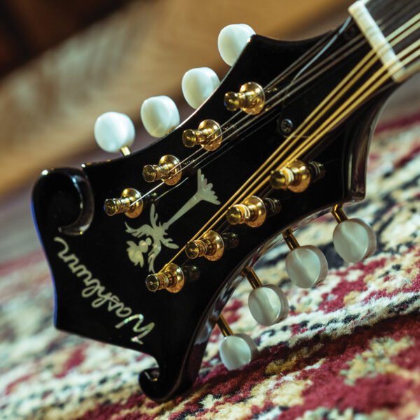 mandolin headstock