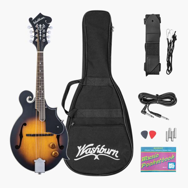 mandolin with gig bag and accessories