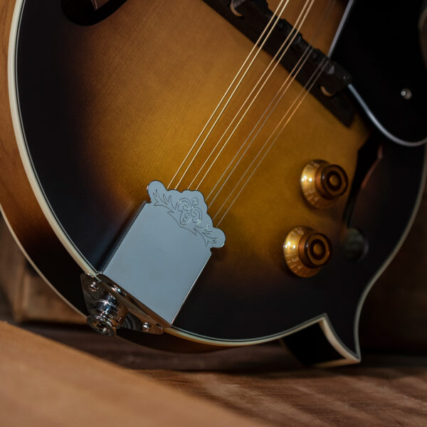 partial view of body of mandolin