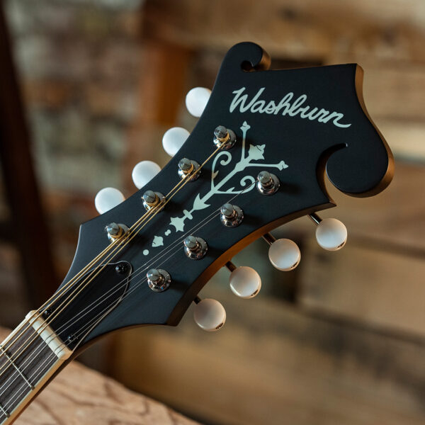 mandolin headstock