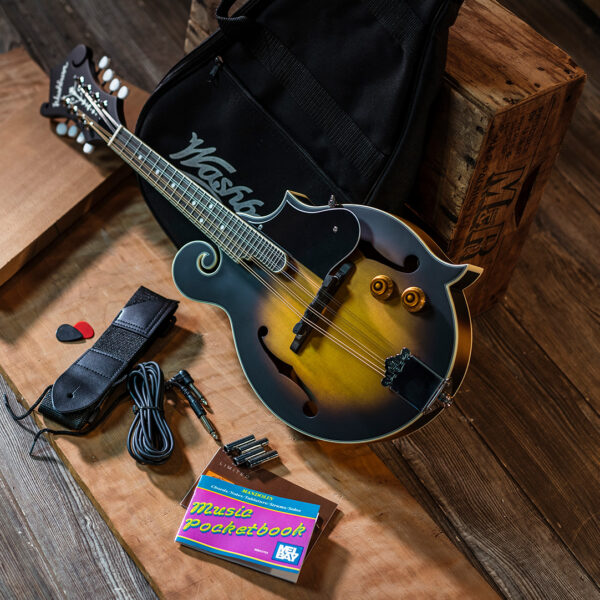 mandolin with gig bag and accessories