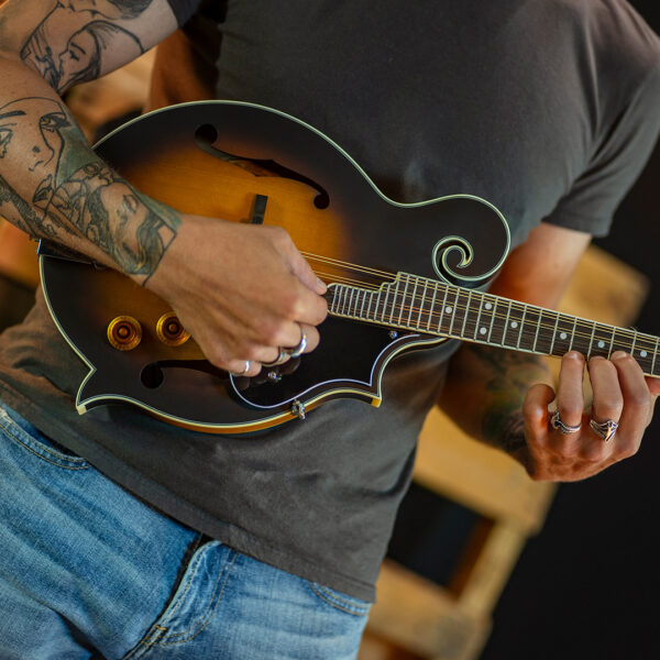 partial view of man playing mandolin