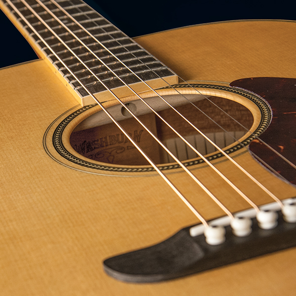 closeup of rosette on Washburn acoustic guitar