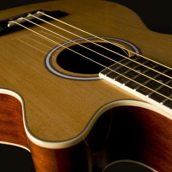 Washburn Guitars