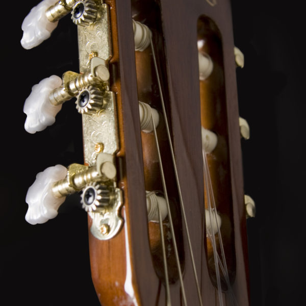 C5 CLASSICAL GUITAR HEAD STOCK