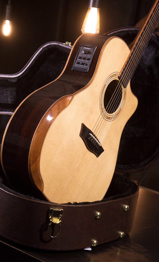 Washburn Guitars