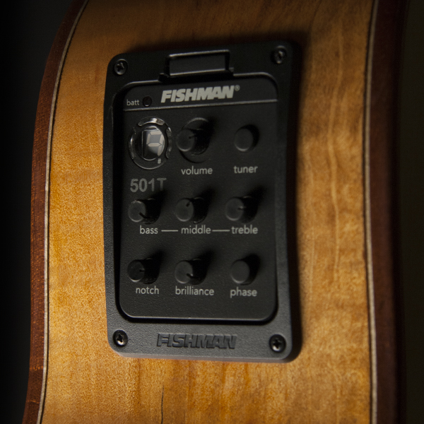 closeup of Fishman electronics on Washburn acoustic electric guitar