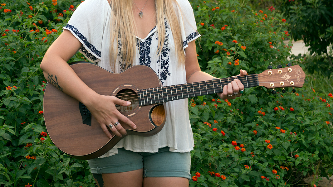 Washburn Guitars