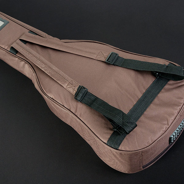 Washburn gig bag cheap