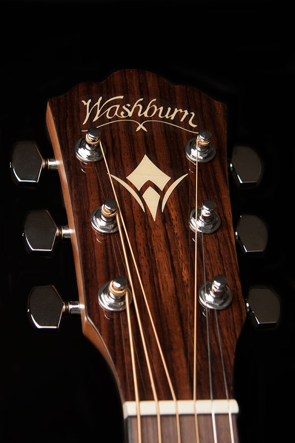 Washburn Guitars