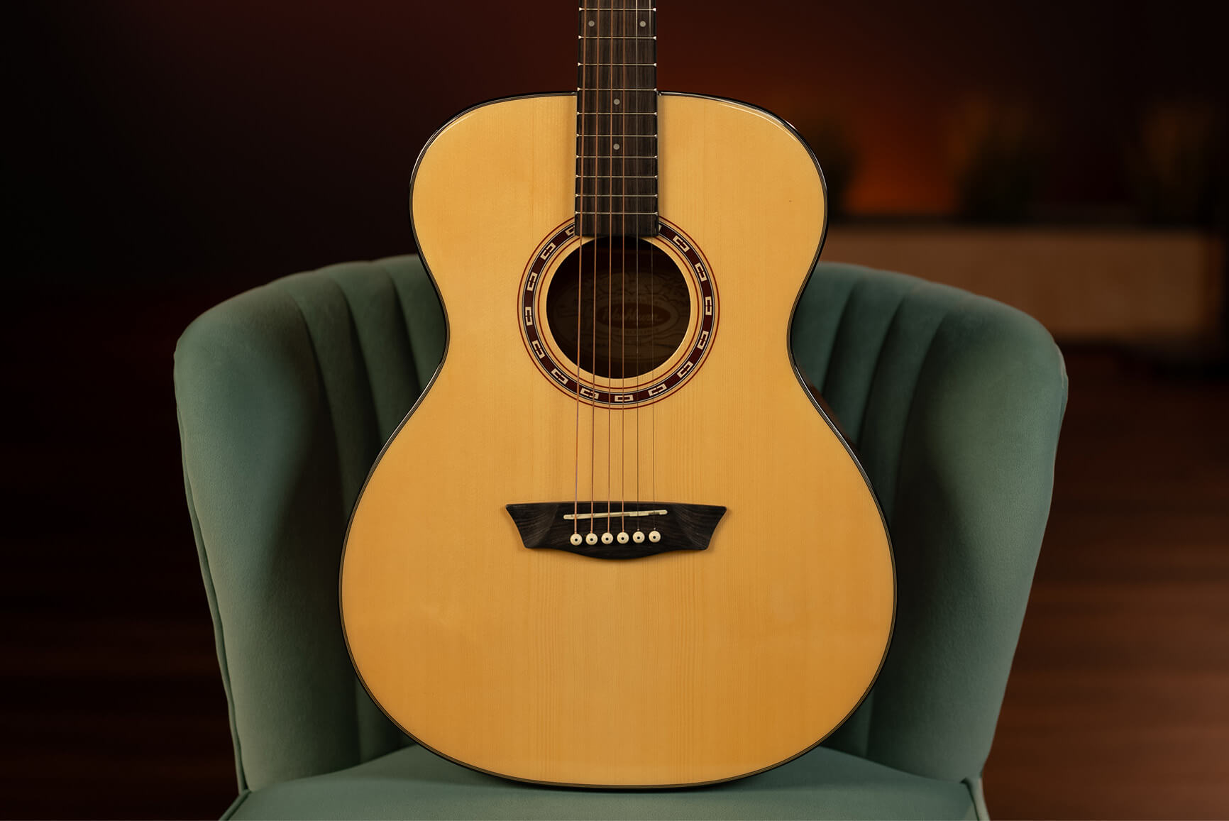 Washburn Guitars