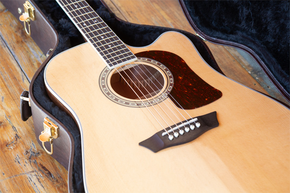 find guitar by serial number find guitar by serial number